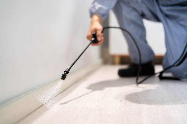 Licensed Ant Control service in Oklahoma County County, OK - Nex Pest Control